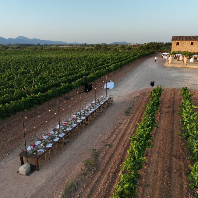 Fosh Catering menu entre viñedos son llompart