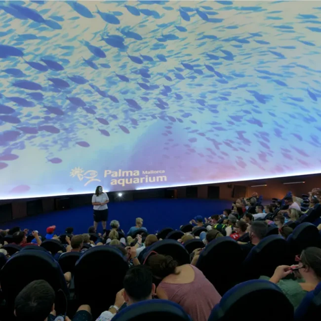 CONFERENCE 360º DOME