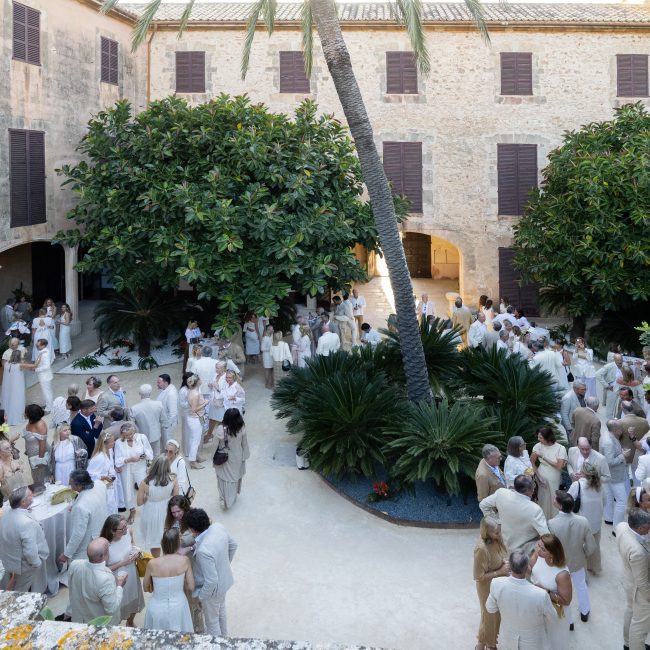 Katarina Son Veri 2024