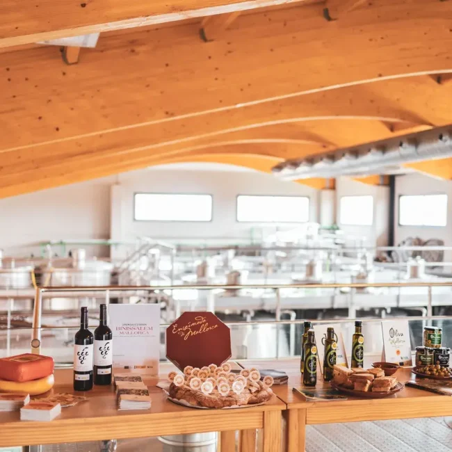 Copia de 1342a527-a760-4e6f-acc5-6f469c220cbb