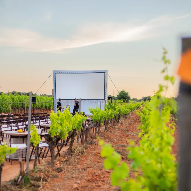 Copia de LA VIÑA CINE