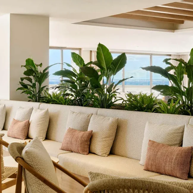 IberostarSelectionEsTrenc_Hall