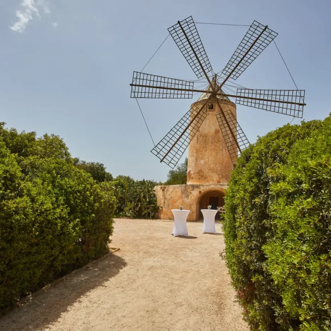 ZOEHM-GRP-Windmill2-FEM