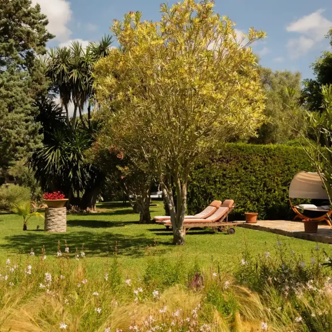 ReservaRotana_roomSUI01_11