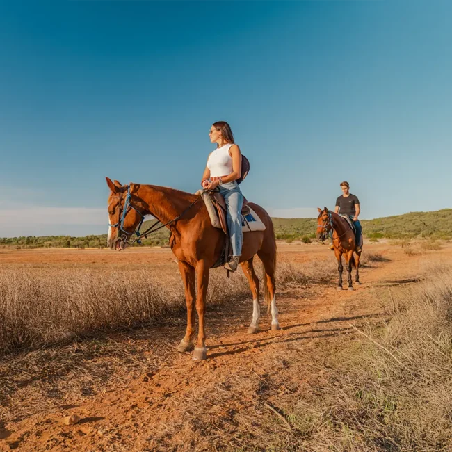 ReservaRotana_x_Exp_Caballo01_h